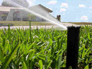 Irrigation Designs